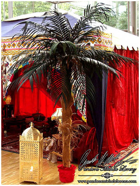 Zur Gallery - Bitte hier klicken!