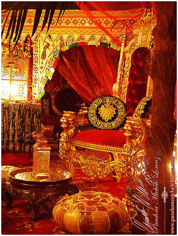 Zur Gallery - Bitte hier klicken!